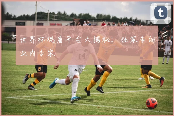 世界杯观看平台大揭秘:独家专访业内专家