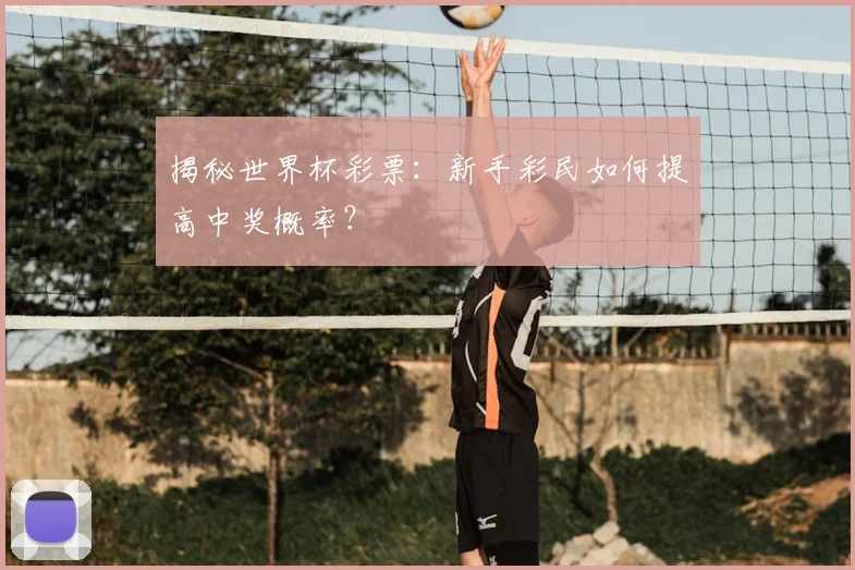 揭秘世界杯彩票：新手彩民如何提高中奖概率？