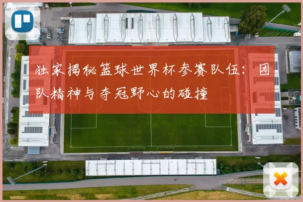独家揭秘篮球世界杯参赛队伍:团队精神与夺冠野心的碰撞
