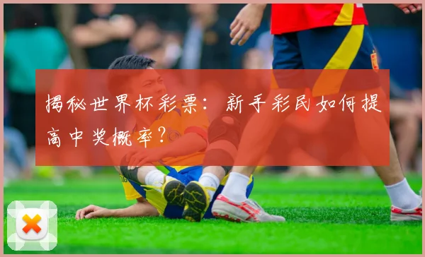 揭秘世界杯彩票：新手彩民如何提高中奖概率？