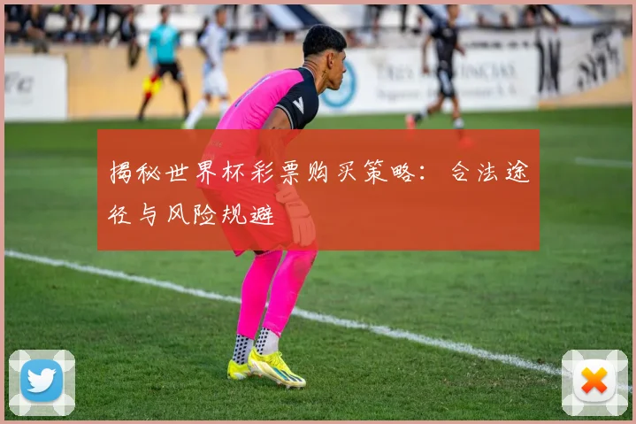 揭秘世界杯彩票购买策略：合法途径与风险规避