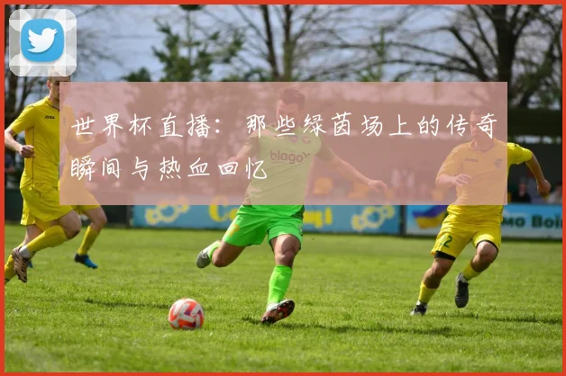 世界杯直播:那些绿茵场上的传奇瞬间与热血回忆