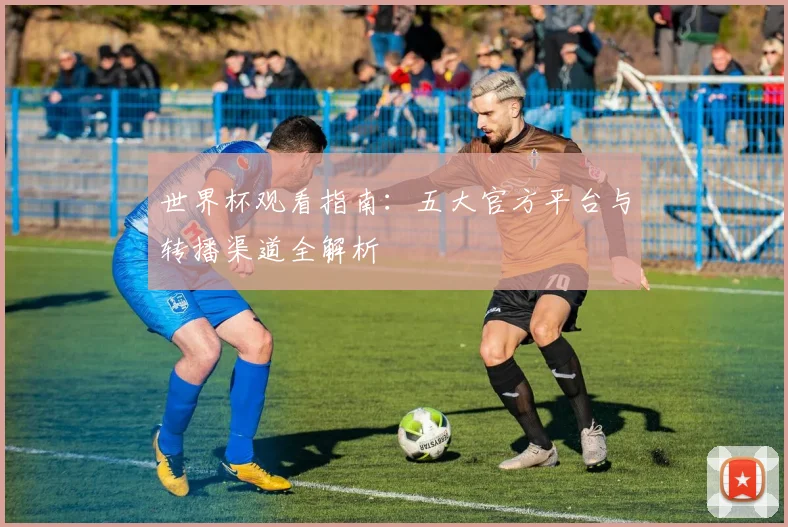 世界杯观看指南:五大官方平台与转播渠道全解析