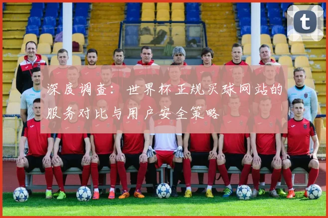 深度调查：世界杯正规买球网站的服务对比与用户安全策略